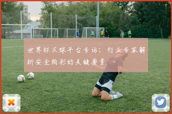 世界杯买球平台专访：行业专家解析安全购彩的关键要素