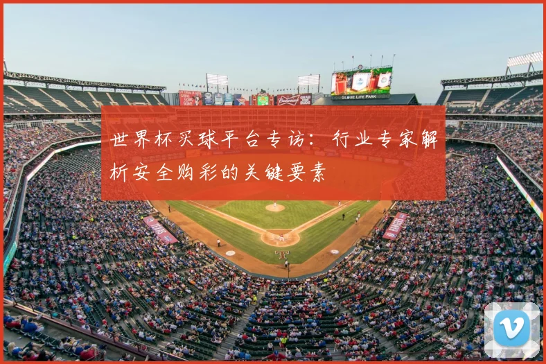世界杯买球平台专访：行业专家解析安全购彩的关键要素