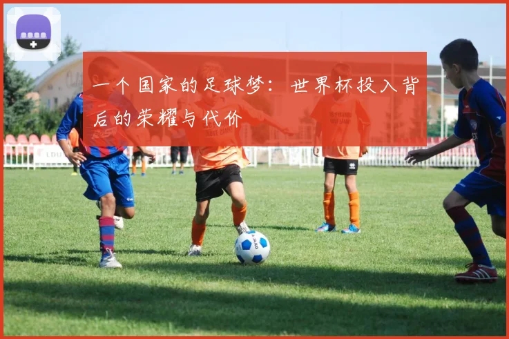 一个国家的足球梦:世界杯投入背后的荣耀与代价