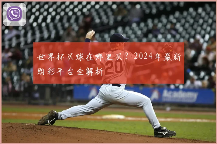 世界杯买球在哪里买？2024年最新购彩平台全解析