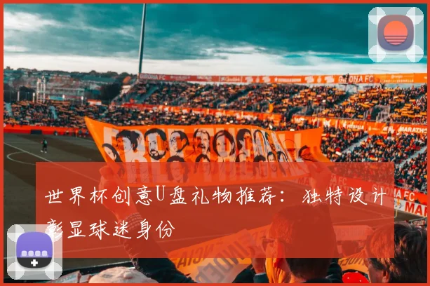 世界杯创意U盘礼物推荐:独特设计彰显球迷身份