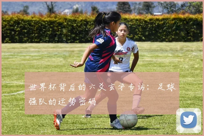 世界杯背后的六爻玄学专访:足球强队的运势密码