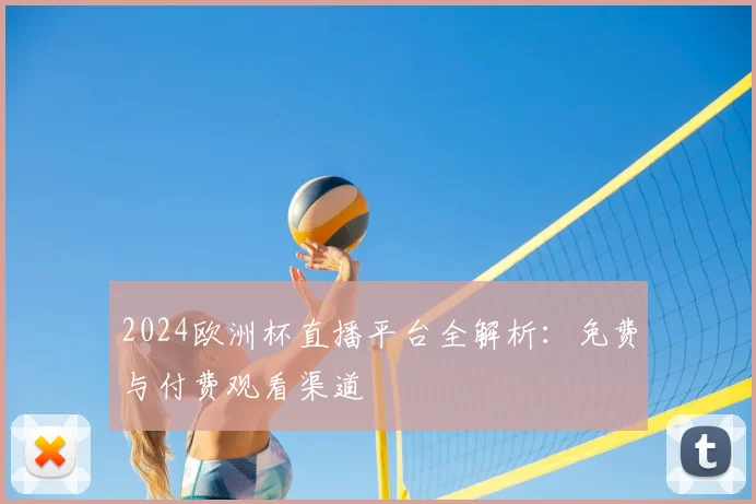 2024欧洲杯直播平台全解析：免费与付费观看渠道