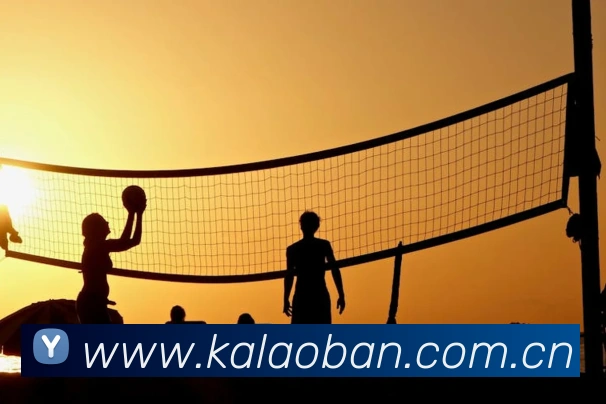 mk国际体育平台生态图