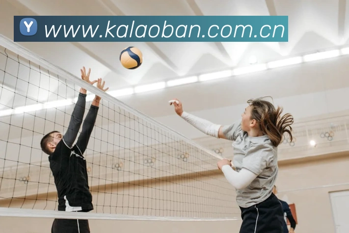 mk国际体育APP 封面图